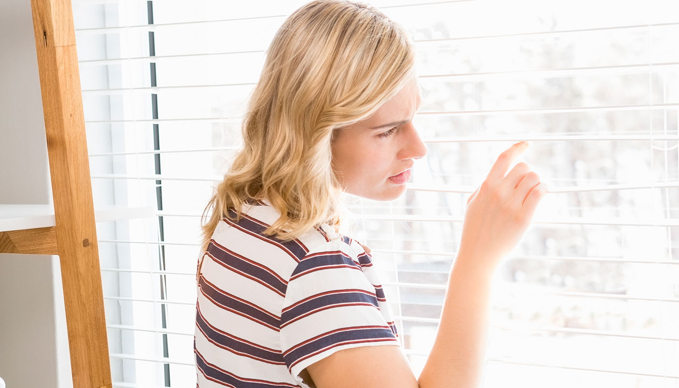 Lamelle e tapparelle